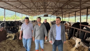 Hayvan üreticileri mazot karşılığı kurban satış kampanyası başlattı