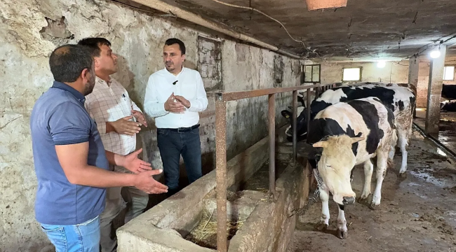 Hayvan üreticilerinin'böyle kötü bir dönem hiç olmadı'isyanı