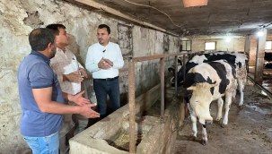 Hayvan üreticilerinin'böyle kötü bir dönem hiç olmadı'isyanı