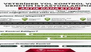 Kaçak hayvan denetimler sıklaştırıldı