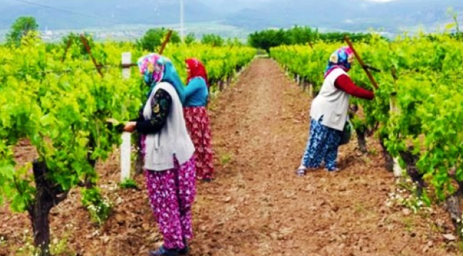 Kurallar açıklandı