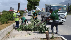 Manisa'da etkili olan fırtına ağaçları devirdi