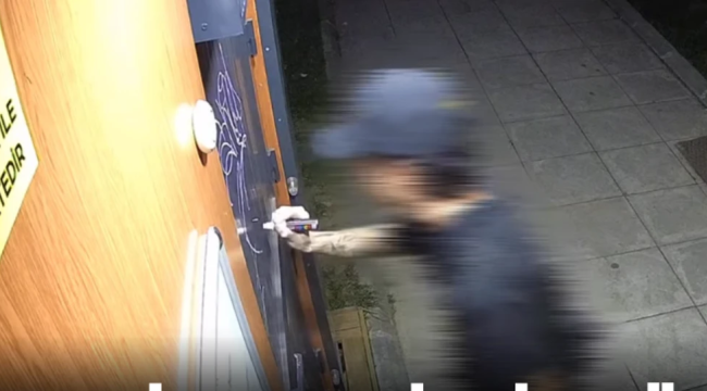 Manisa'da vandalizm hortladı