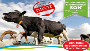 MESO başkanı Akyüz'den kurbandan kurbana ortaya çıkan korsan kasap uyarısı