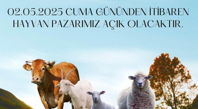 Şap hastalığı nedeniyle kapanan hayvan pazarı açılıyor