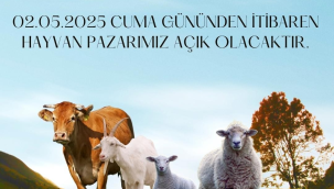 Şap hastalığı nedeniyle kapanan hayvan pazarı açılıyor