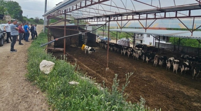 Selendi'de hayvan üreticilerine "tek dam projesi"anlatıldı