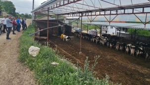 Selendi'de hayvan üreticilerine "tek dam projesi"anlatıldı