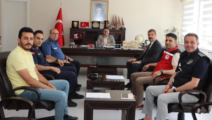 Toplantıda sokak hayvanlarının yaşam koşulları ele alındı