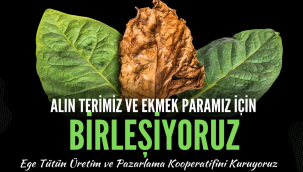 Üreticiler Ege tütün üretim ve pazarlama kooperatifi kuruyor