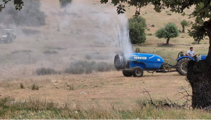 Ürünlere zarar veren çekirgeyle mücadele Köprübaşı'nda başladı