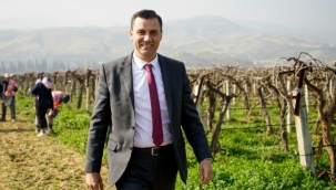 Üzüm, kiraz, badem,ceviz, kayısı, şeftali, erik üreticilerine verilecek hibe destek tarihi uzatıldı