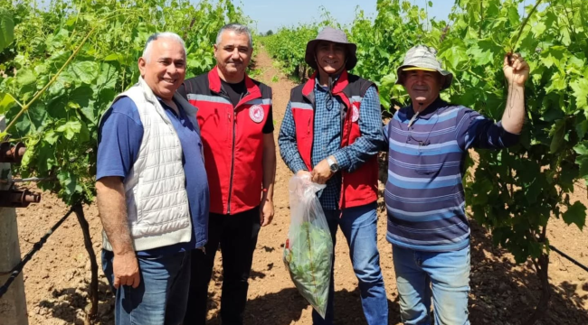 16 ilçede 11 üründen numune alımları sürüyor