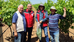16 ilçede 11 üründen numune alımları sürüyor