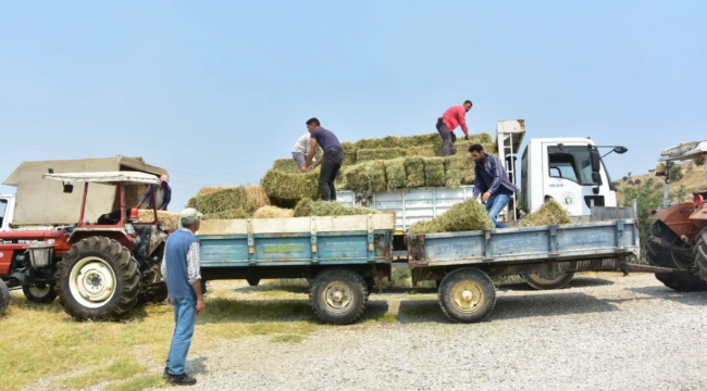 Alaşehir belediyesinden hayvan üreticilerine yonca desteği