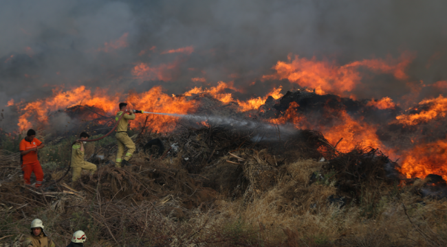 Aynı günde 15 ilde orman yangını çıktı