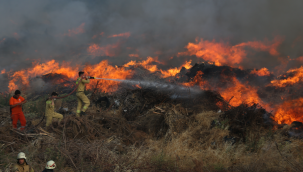 Aynı günde 15 ilde orman yangını çıktı