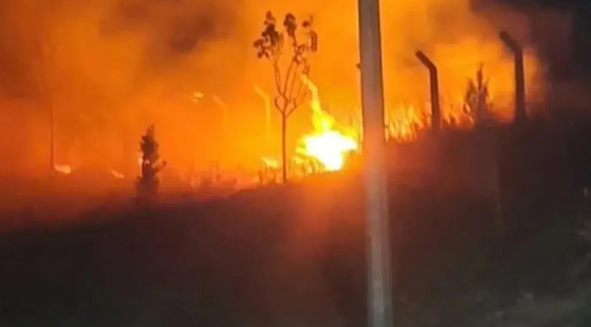  Bakan Yumaklı açıkladı: bugün ülkemizde 77 yangın oldu