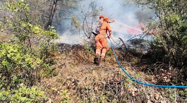 Bakan Yumaklı Akhisar'da yangınlarla ilgili açıklamalarda bulundu