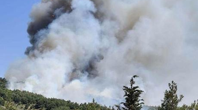 Balıkesir ve Çanakkale'de yangın