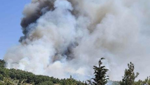 Balıkesir ve Çanakkale'de yangın