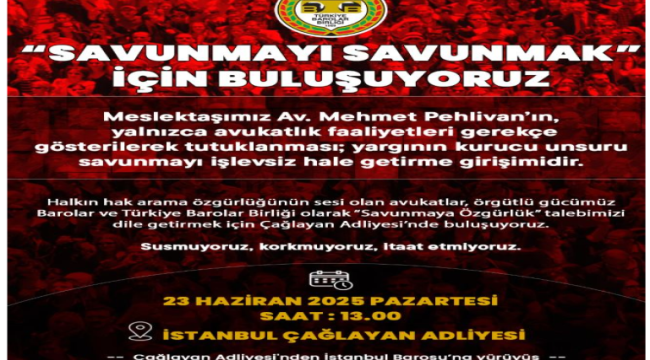 Barolar Birliği'nden Mehmet Pehlivan için yürüyüş çağrısı