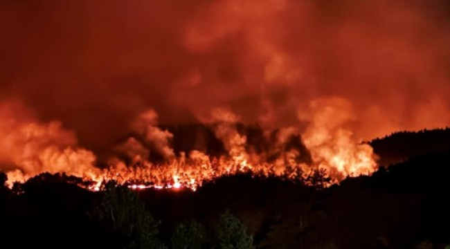 Bilecik ve Sakarya'da süren orman yangınını söndürmek için asker sahaya indi