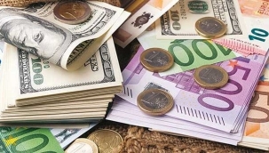 Bu hafta yatırımcısının yüzünü Dolar ve Euro güldürdü