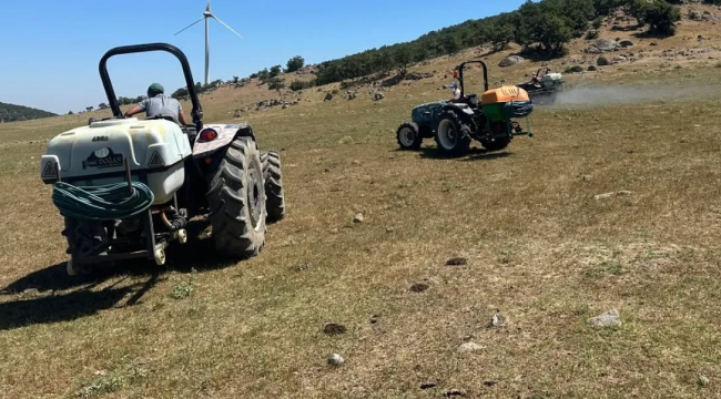 Çekirgeye karşı ilaçlı mücadele