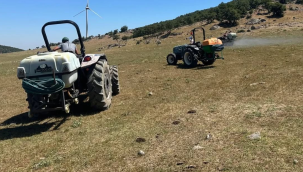 Çekirgeye karşı ilaçlı mücadele