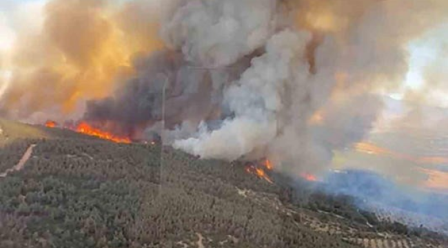 Foça'da orman yangını