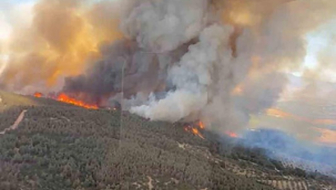 Foça'da orman yangını