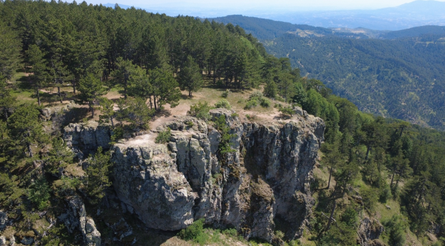 Gelin uçtu kayalıkları 271.tabiat parkı
