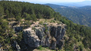 Gelin uçtu kayalıkları 271.tabiat parkı