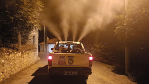 Gölmarmara haşereye karşı düzenli ilaçlanıyor