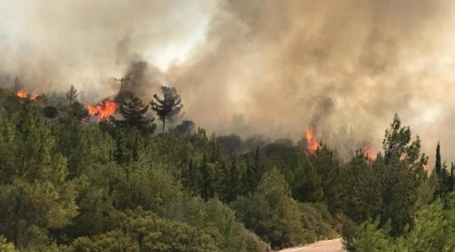 İzmir'de orman yangını