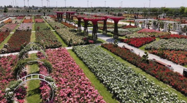 Konya'da 190 türün bulunduğu Karatay Mevlana gül parkı yeni sezonunu açtı