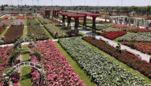 Konya'da 190 türün bulunduğu Karatay Mevlana gül parkı yeni sezonunu açtı