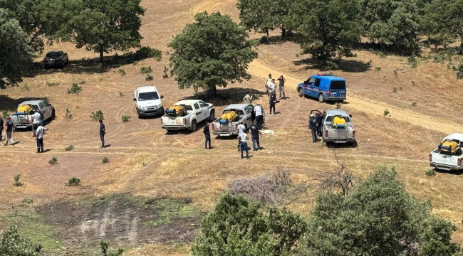 Köprübaşı'ı çekirgeler istila etti