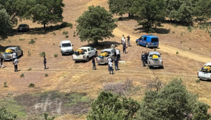 Köprübaşı'ı çekirgeler istila etti