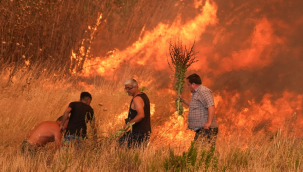 Korkulan oldu ruzgar İzmir'de yangını büyüttü