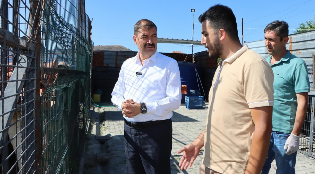 Kula belediyesi sokak hayvanları için yeni barınak inşa ediyor