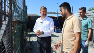 Kula belediyesi sokak hayvanları için yeni barınak inşa ediyor