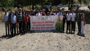 Kuru fasulye üretimini geliştirmek için Kula ve Soma'da fasulye tohumu dağıtıldı