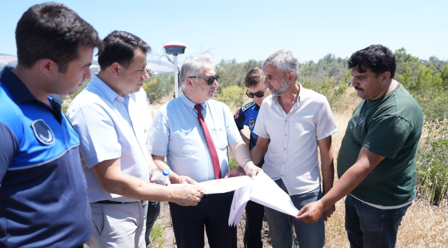  Sokak hayvanları projesinin İik etap çalışmaları başladı