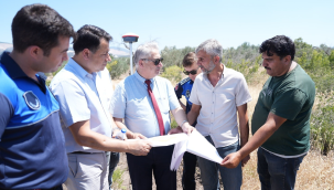  Sokak hayvanları projesinin İik etap çalışmaları başladı