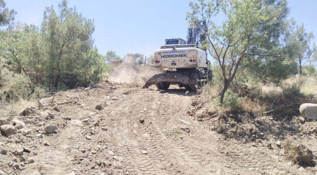 Ağaç alanlarında yangın bakım çalışması