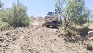 Ağaç alanlarında yangın bakım çalışması