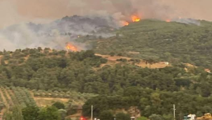Ahmetli'de orman yangını