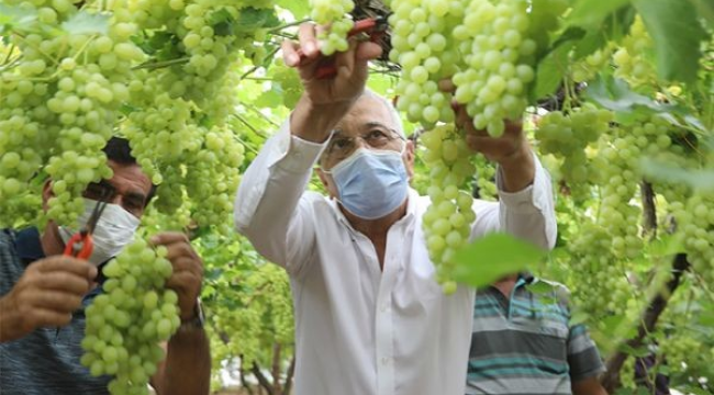 Arazide eksik çalışan işçinin ücretini dayıbaşı ödeyecek